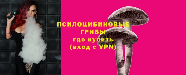 винт Пенза