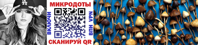 Купить закладки  Андреаполь  Псилоцибиновые грибы Magic Shrooms 